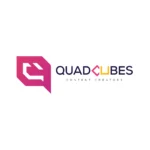 quad cubes certificate best digital marketing specialist in calicut